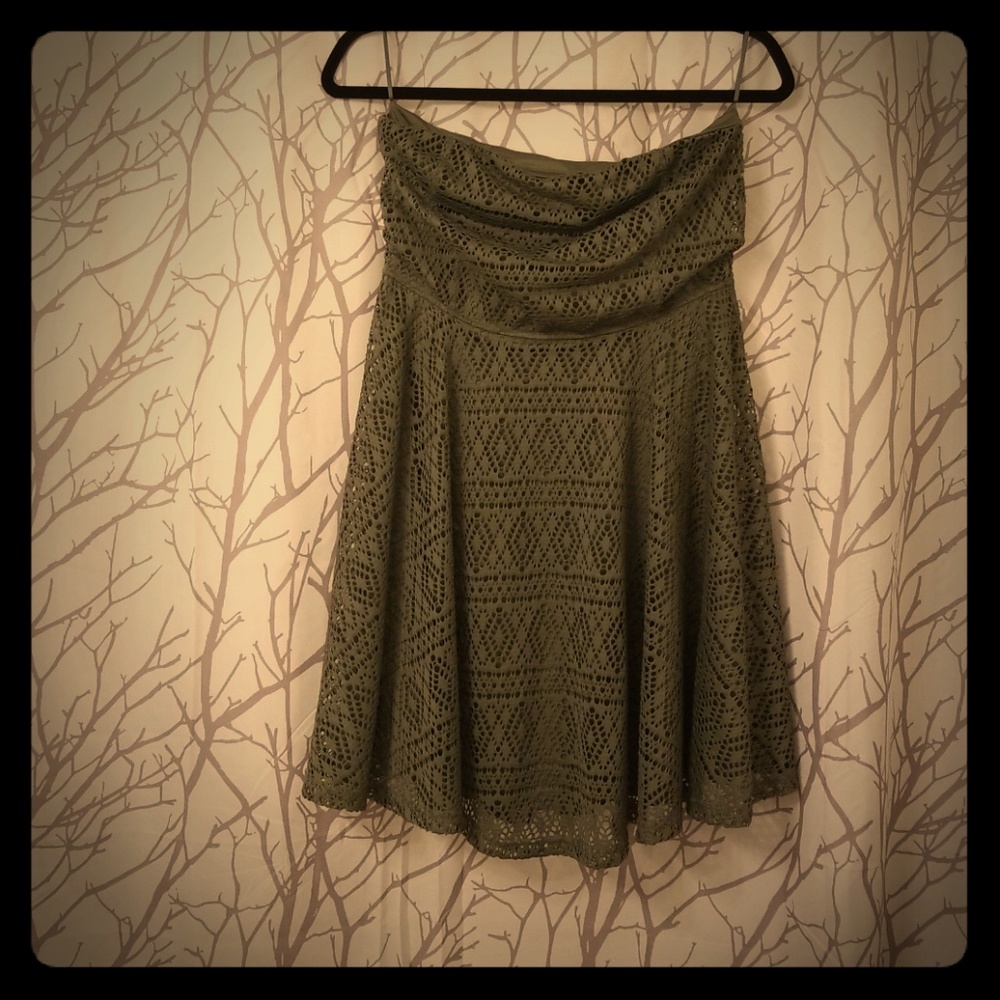 Express Skater Dress